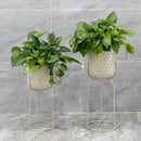 Set Of 2-18"&21.5"H Flower Pot Stand(Gray, barrel pressed) by JHY DESIGN