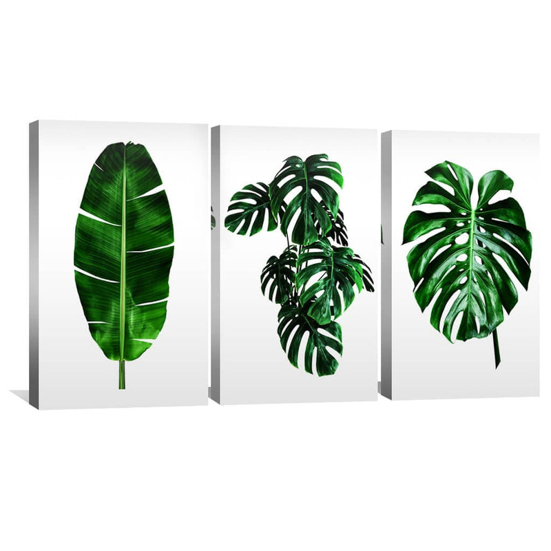 Plants and Vibes Canvas