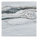 Platinum Oasis White Marble Polished Floor and Wall Tile