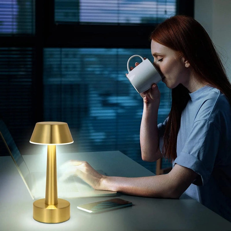 Plug less Portable Lamp