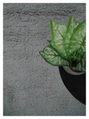 Gray Hand Woven Wool Area Rug - Modern Solid Design Contemporary by The Rug Decor