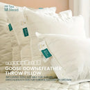 GobekUsa Goose Feather Insert Pillow - White, Bed & Couch Decorative Pillows