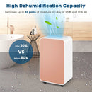 32 Pints/Day Portable Quiet Dehumidifier for Rooms up to 2500 Sq. Ft by LJGDeals