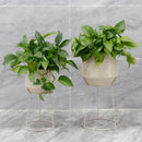Set of 2-16"&20"H Flower Pot Stand(Gray) by JHY DESIGN