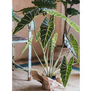 Artificial Faux Alocasia Plant In Pot 31" Tall