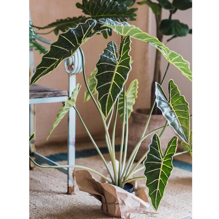 Artificial Faux Alocasia Plant In Pot 31" Tall