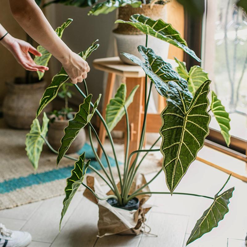 Artificial Faux Alocasia Plant In Pot 31" Tall