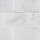 MSI Carrara Porcelain Wall and Floor Tile - Praia Collection