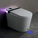 Nuvia Premium Smart Toilet With Bidet Seat LED Display & Night Light (SAK81465)