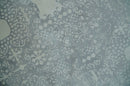 Premium Style Gray and Ivory Traditional Ikat Large design 5.6x8 Hand loom Wool and Viscose Area Rug