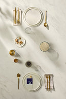 Premium White Sapienstone