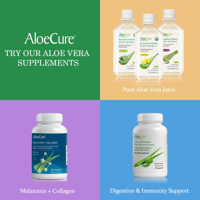 Pre+Probiotic & Digestive Enzyme Blend