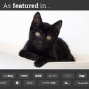 Hanging Cat Bed Hammock