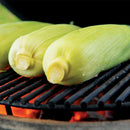 Primo Oval Large 300 All-In-One Ceramic Kamado Grill W/ Cradle, Side Shelves & Stainless Steel Grates [PGCLGC] (SAK21293)