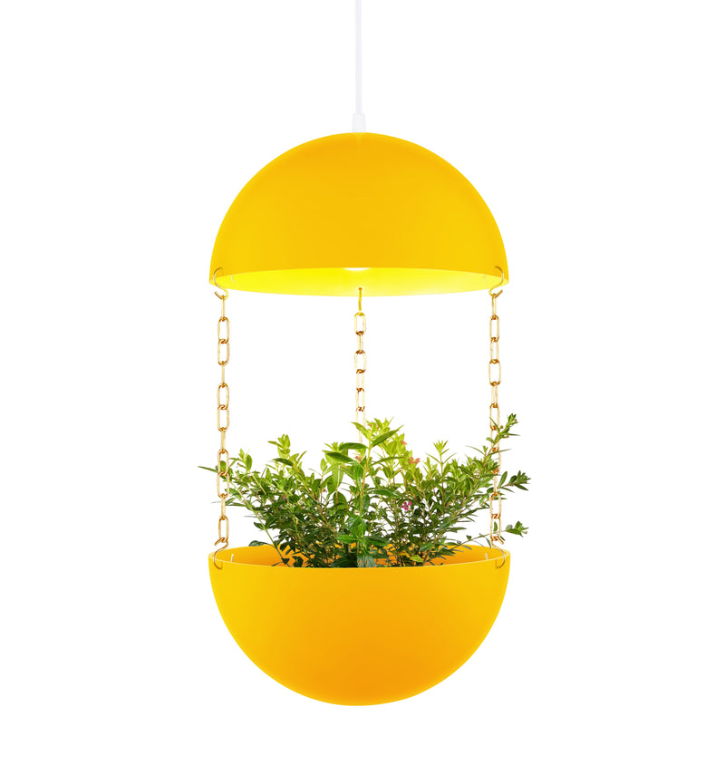 Pendant Planter