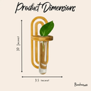 Propagation Planter | Wall Vase by Bamboo Switch