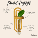 Propagation Planter | Wall Vase by Bamboo Switch