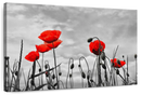 Pop Red Poppies Wall Art