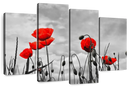 Pop Red Poppies Wall Art