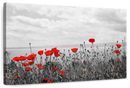 Red Poppy Field Pop Wall Art