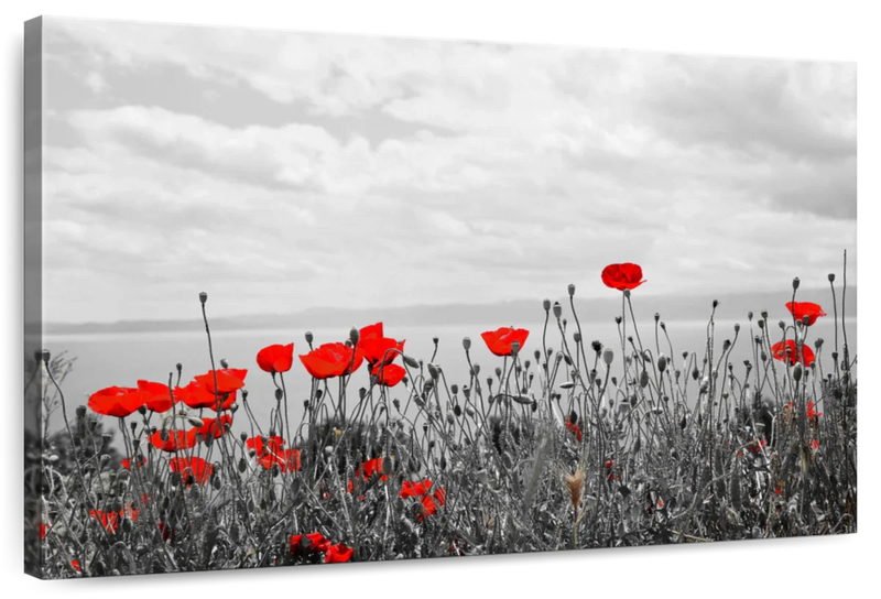 Red Poppy Field Pop Wall Art