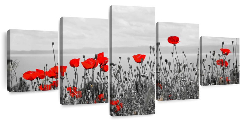 Red Poppy Field Pop Wall Art