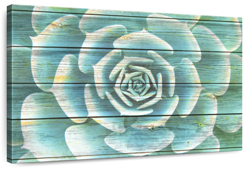 Succulent Plant Bloom Wall Art