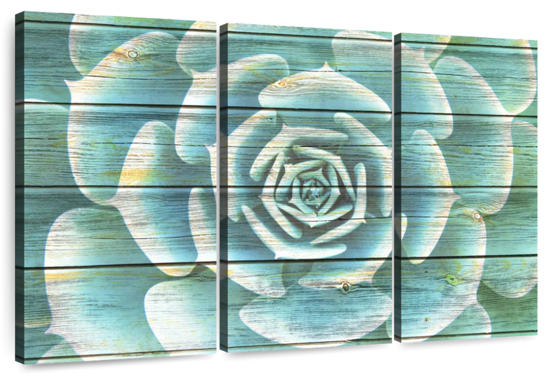 Succulent Plant Bloom Wall Art