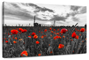 Poppy Field At Dusk Pop Wall Art