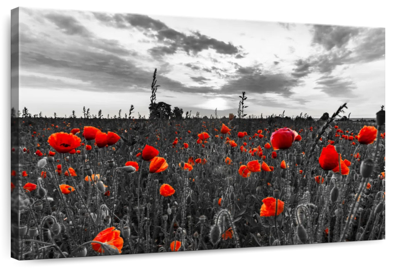 Poppy Field At Dusk Pop Wall Art