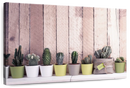 Succulent Plant Pots Wall Art