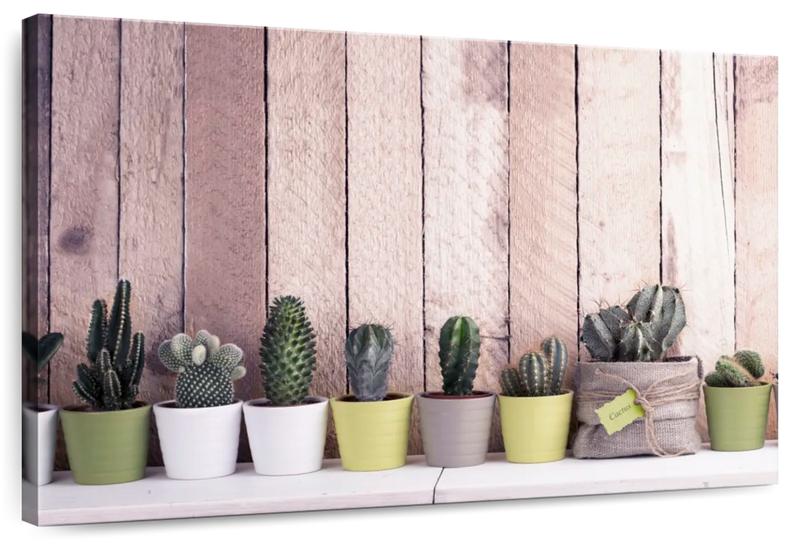 Succulent Plant Pots Wall Art