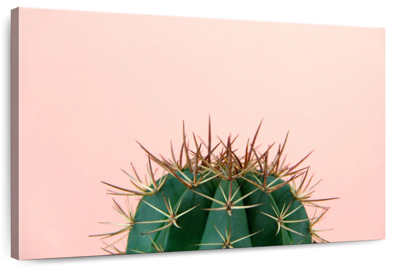 Simple Cactus Wall Art