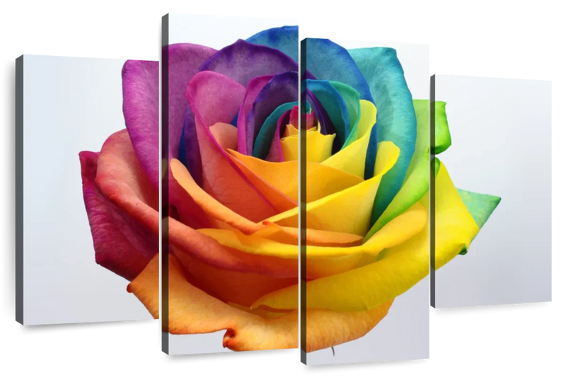 Rainbow Rose Wall Art