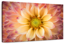 Lovely Dahlia Wall Art