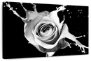 Rose Splash Wall Art