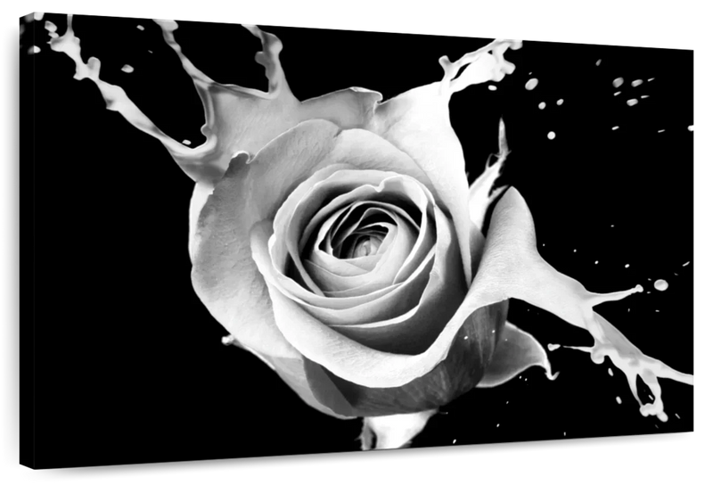 Rose Splash Wall Art