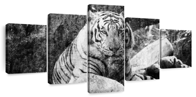 Textured White Tiger Wall Art