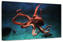 Octopus Vulgaris Wall Art