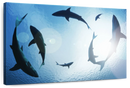 School Of Sharks Wall Art