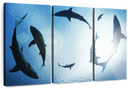 School Of Sharks Wall Art