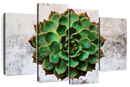 Grunge Succulent Wall Art
