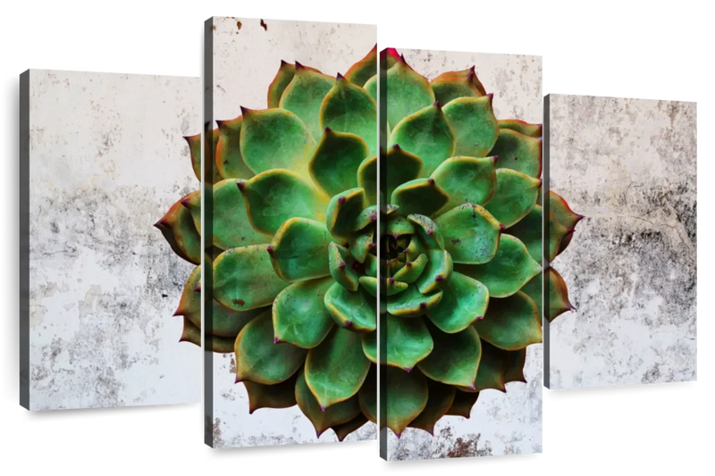 Grunge Succulent Wall Art