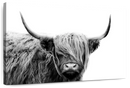BW Highland Cow Wall Art