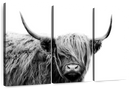 BW Highland Cow Wall Art