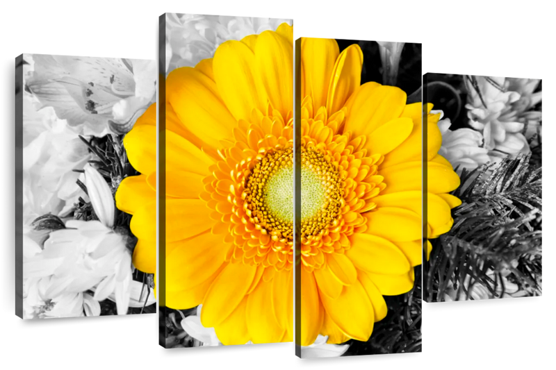 Gerbera Daisy Pop Wall Art