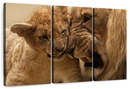 Bonding Lions Wall Art