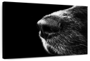 Dog's Nose Wall Art
