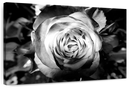 Monochromatic Rose Wall Art
