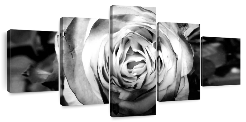 Monochromatic Rose Wall Art